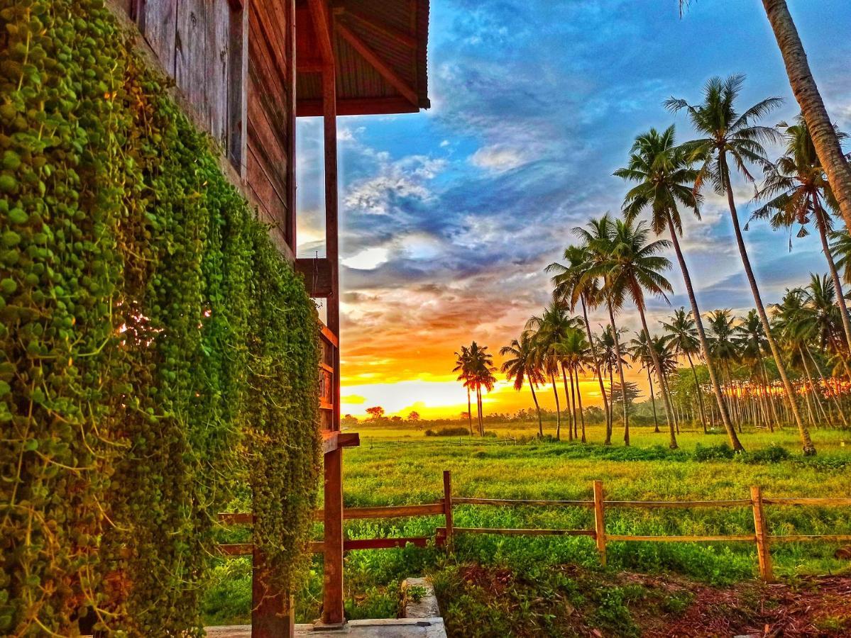 Sunset Homestay By Harry & Mimin Telaga Luaran gambar